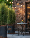 Industrial exterior with galvanized steel planters holding tall green plants, a black metal bistro set with a concrete top, and string lights with exposed Edison bulbs draped over a patio.