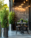 Industrial exterior with galvanized steel planters holding tall green plants, a black metal bistro set with a concrete top, and string lights with exposed Edison bulbs draped over a patio. — view 2