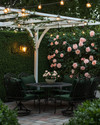 A traditional backyard patio area featuring a wrought iron dining set with dark green cushions, surrounded by lush green boxwood hedges and climbing pink roses on a white trellis, all illuminated by warm string lights overhead. — styling and décor detail