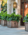 A coastal driveway featuring large weathered teak planters filled with lush green foliage, flanked by elegant nautical brass lanterns mounted on stone pillars, leading to a front door with a pewter shell door knocker.