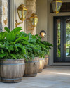 A coastal driveway featuring large weathered teak planters filled with lush green foliage, flanked by elegant nautical brass lanterns mounted on stone pillars, leading to a front door with a pewter shell door knocker. — alternate angle