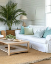 A bright coastal poolhouse interior with a white slipcovered sofa, rattan armchair, and light wood coffee table, accented with soft blue and green pillows, a jute rug, and a large potted palm plant. — close-up of textures and materials