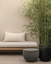 A small Japandi backyard featuring a low-profile teak bench with off-white cushions, a round grey stone side table, and a tall bamboo plant in a black ceramic planter, all set on light wood decking. — alternate angle