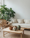 A Japandi sunroom blending vintage and modern elements, featuring a low-profile natural linen sofa, a restored vintage rattan chair, and a light wood coffee table with ceramic vessels. Large green plants in simple terracotta pots add organic life, all under abundant natural light. — styling and décor detail
