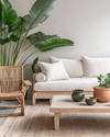 A Japandi sunroom blending vintage and modern elements, featuring a low-profile natural linen sofa, a restored vintage rattan chair, and a light wood coffee table with ceramic vessels. Large green plants in simple terracotta pots add organic life, all under abundant natural light. — alternate angle