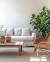 A Japandi sunroom blending vintage and modern elements, featuring a low-profile natural linen sofa, a restored vintage rattan chair, and a light wood coffee table with ceramic vessels. Large green plants in simple terracotta pots add organic life, all under abundant natural light.
