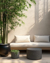 A small Japandi backyard featuring a low-profile teak bench with off-white cushions, a round grey stone side table, and a tall bamboo plant in a black ceramic planter, all set on light wood decking.