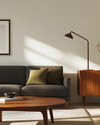 A minimalist Mid-Century Modern family room featuring a low-slung charcoal grey sofa, a walnut coffee table with clean lines, and an iconic Arco Floor Lamp, complemented by a muted olive green accent pillow and a simple credenza. — close-up of textures and materials