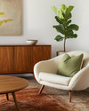 A Mid-Century Modern living room featuring a rich walnut credenza, a teak coffee table, and a cream bouclé lounge chair. The space is anchored by a wool rug in deep terracotta, accented with sage green linen pillows, and houses a tall fiddle-leaf fig in an unglazed ceramic planter.