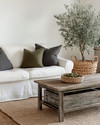 A cozy farmhouse living room featuring a cream slipcovered sofa, a distressed wooden coffee table, and a jute area rug. Neutral tones dominate, with accents of charcoal and muted green in throw pillows and a large olive tree in a woven basket, all bathed in soft, inviting light.