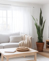 A bright Scandinavian living room with white walls, a light grey sofa, a simple birch wood coffee table, and a chunky knit throw in oatmeal. Sheer white linen curtains frame a window, and a tall Snake Plant in a terracotta pot adds greenery. — alternate angle