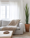 A bright Scandinavian living room with white walls, a light grey sofa, a simple birch wood coffee table, and a chunky knit throw in oatmeal. Sheer white linen curtains frame a window, and a tall Snake Plant in a terracotta pot adds greenery. — close-up of textures and materials