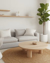 A bright Scandinavian family room featuring a light grey sofa with linen cushions, a round blonde wood coffee table, and a large jute rug. Walls are painted in a soft off-white, complemented by a tall fiddle leaf fig plant in a white pot, and minimalist floating shelves.