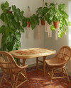 A bohemian game room with a light wood poker table, woven rattan chairs, a terracotta-colored vintage rug, and lush Pothos plants hanging from macrame holders, all bathed in warm, soft lighting. — alternate angle