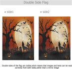 Moon Flags