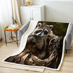 Raccoon Blankets