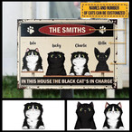 Funny Cat Metal Signs
