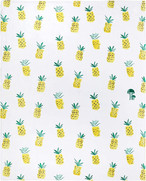 Pineapple Blankets