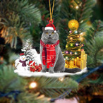 British Shorthair Cat Ornaments