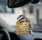 Raccoon Ornaments