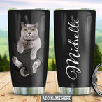 British Shorthair Cat Tumblers