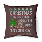 Christmas Cat Pillows