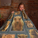 Cow Blankets