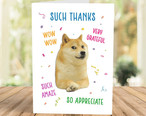 Meme Greeting Cards