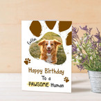 Birthday Greeting Cards