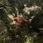 Flying Ornaments