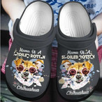 Spoiled Crocs Clogs