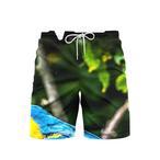 Macaw Beach Shorts