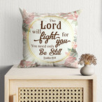 Pillow Fight Pillows