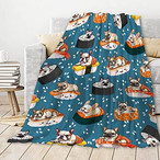 Camping Blankets