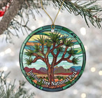 Nationals Baseball Ornaments