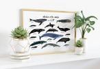 Whale Nursery Canvas