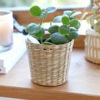 Small Wicker Plant Pots