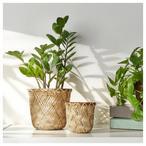 Bamboo Plant Pots Outdoor