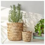 Bamboo Plant Pots Indoor