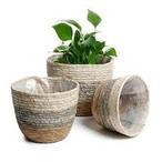 Seagrass Plant Pots