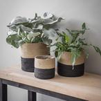 Jute Plant Pots