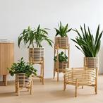 Bamboo Plant Pots