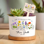 Plant Pots