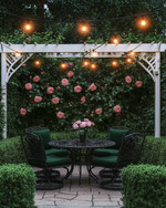 A traditional backyard patio area featuring a wrought iron dining set with dark green cushions, surrounded by lush green boxwood hedges and climbing pink roses on a white trellis, all illuminated by warm string lights overhead. — alternate angle