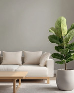 A minimalist Scandinavian Landscape living room with pale gray walls, an off-white modular sofa, a light ash wood coffee table, and a large Fiddle Leaf Fig plant in a matte ceramic pot. — close-up of textures and materials