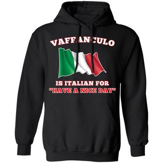 Vaffanculo Is Italian For Have A Nice Day Graphic Design Printed Casual Daily Basic Hoodie - Thegiftio UK