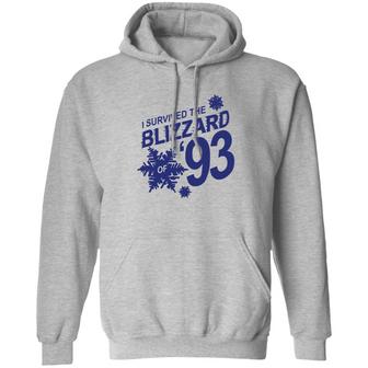 I Survived The Blizzard Of 93 Graphic Design Printed Casual Daily Basic Hoodie - Thegiftio UK