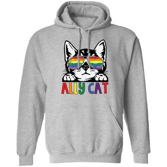 Ally Cat Lgbt Graphic Design Printed Casual Daily Basic Hoodie - Thegiftio UK