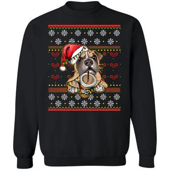 Boxer Dog Christmas Lights Ugly Christmas Sweater Funny Xmas Gift For Dog Lovers Graphic Design Printed Casual Daily Basic Sweatshirt - Thegiftio UK