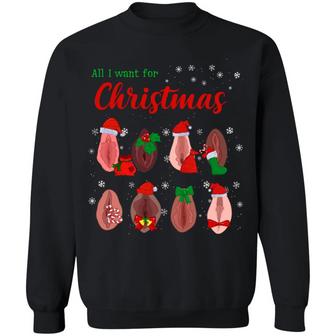Dirty Christmas All I Want For Christmas Is Vagina Funny Dirty Christmas Gift For Couple Sweater Long Sleeve Graphic Design Printed Casual Daily Basic Sweatshirt - Thegiftio UK